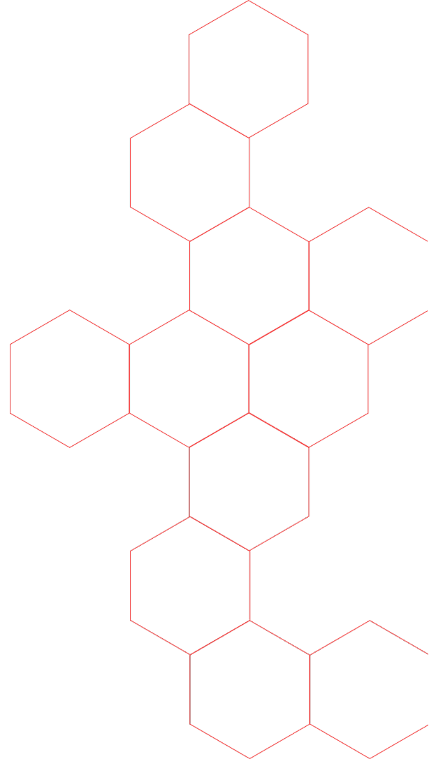 Octagane